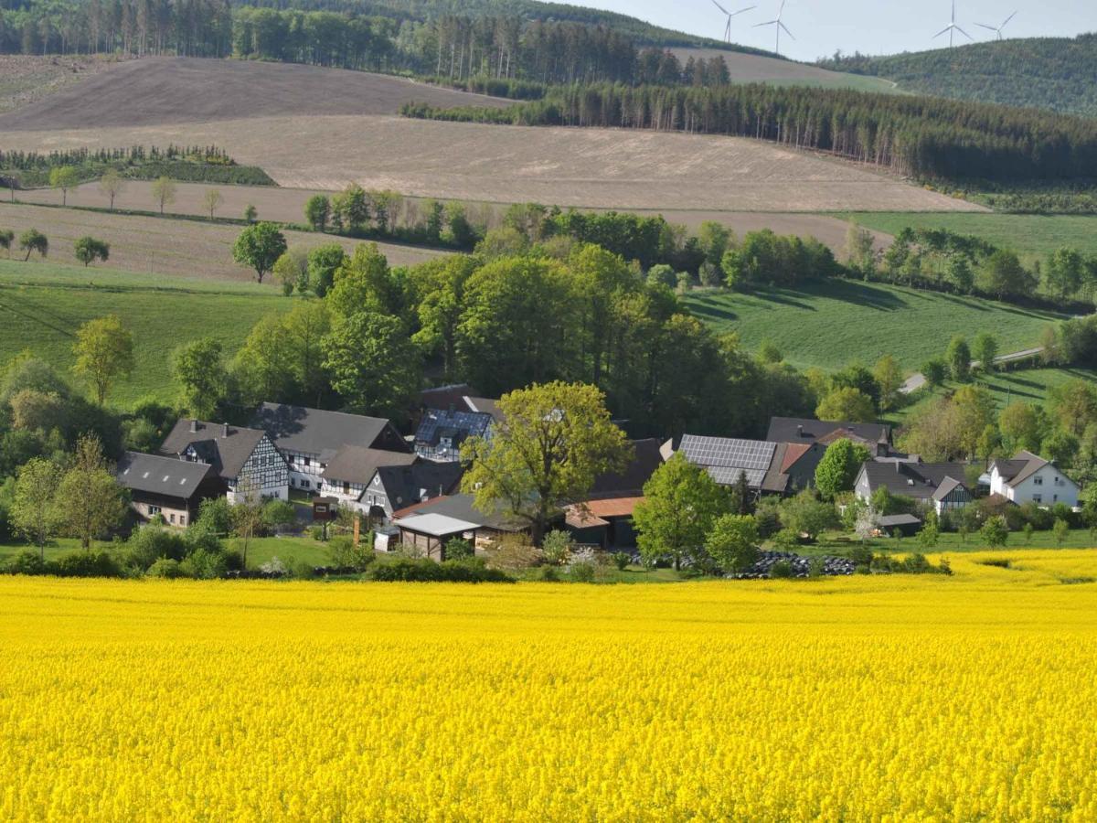 Ferienwohnungen Uebern Hof 施马伦贝格 外观 照片